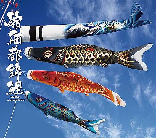 3m縮緬都錦鯉のぼり庭園セット