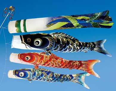 3m宝碧鯉のぼり庭園6点セット