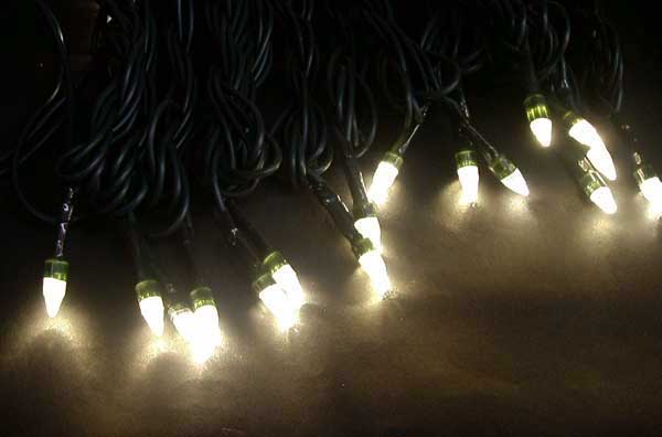 tNX}XCg100LED